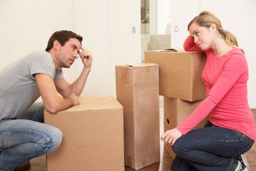 Man with van support for careful loading and delivery