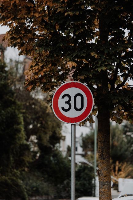 A circular speed limit sign displaying '30' in black numerals on a white background with a red border, mounted on a metal pole situated next to a tree with dense, brownish-green foliage. The sign is p